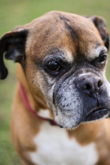 7052054369_429b90c408_o