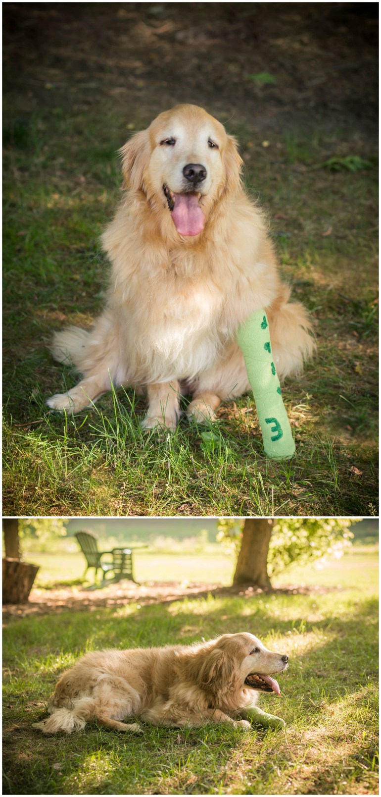 2016-08-09_0056 - Copy